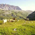 Haus Simma