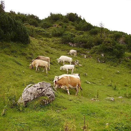 Haus Simma Apartament